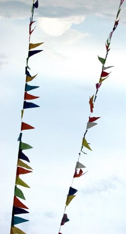 coloured pennants in SEP 201007