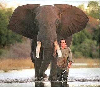 Mark and his elephant friend