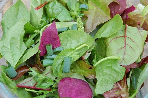 garden salad