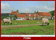 Goathland Yorkshire Heatbeat Country Colour Photo Postcard 