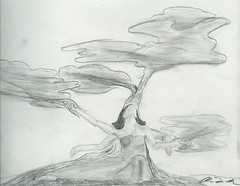 Knarled Tree's Dryad (Graphite)