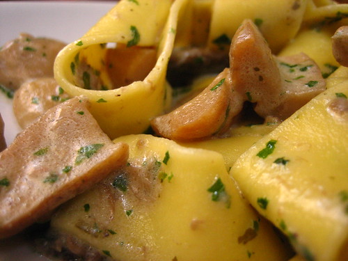 Papardelle pasta with porcini mushrooms