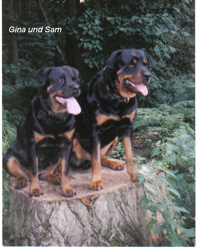 Gina und Sam von missluna1972.