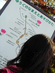昭和の森公園の大型ローラーすべりだいだよ