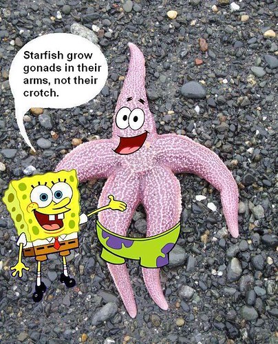 Spongebob And Patrick. Patrick & Spongebob