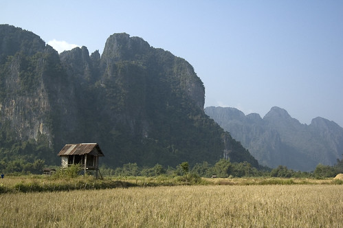 rice paddy hut