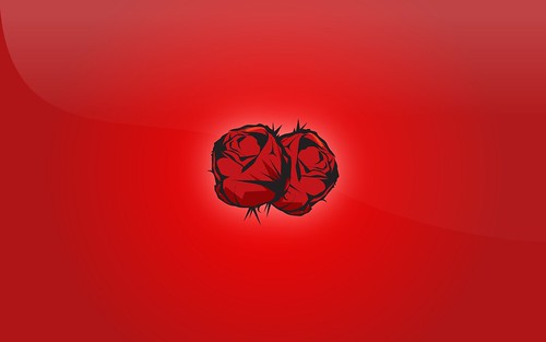 wallpaper roses red. Red Rose Wallpaper