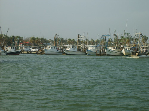 Shrimping Boats