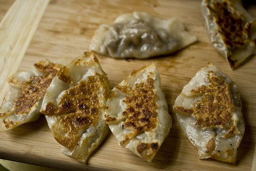 Pot Stickers, just out of the pan