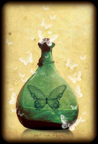  Genie In A Bottle; ← Oldest photo