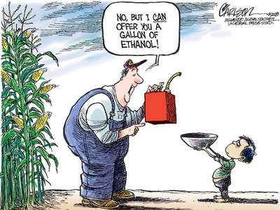 biofuel or food?