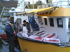 Fish Market in Oslo #3