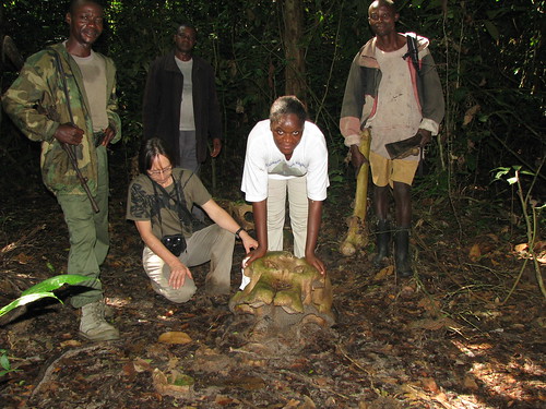 A.T. with an elephant poached by Thom's group