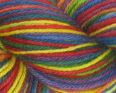Bright Rainbow on Peruvian Wool - 100g (WW)