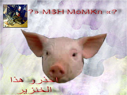 انفلونزا الخنازير 2339050922_a5339dd65d