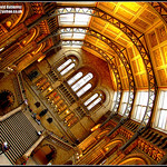 Perspective of London Natural History Museum