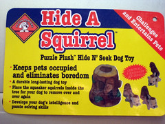 hide a squirrel