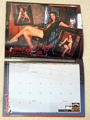 2008 She Rocks Calendar