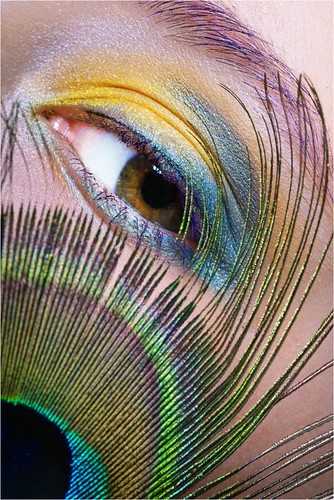 peacock inspired makeup. Some peacock inspired makeup: