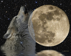 Full "Wolf" Moon - January 22, 2008