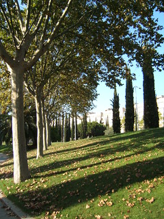 Parc de Carles I