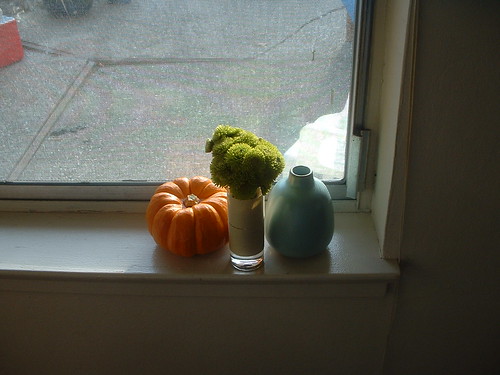 Pumpkin and Flowers