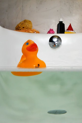 Rubber Duck by martin