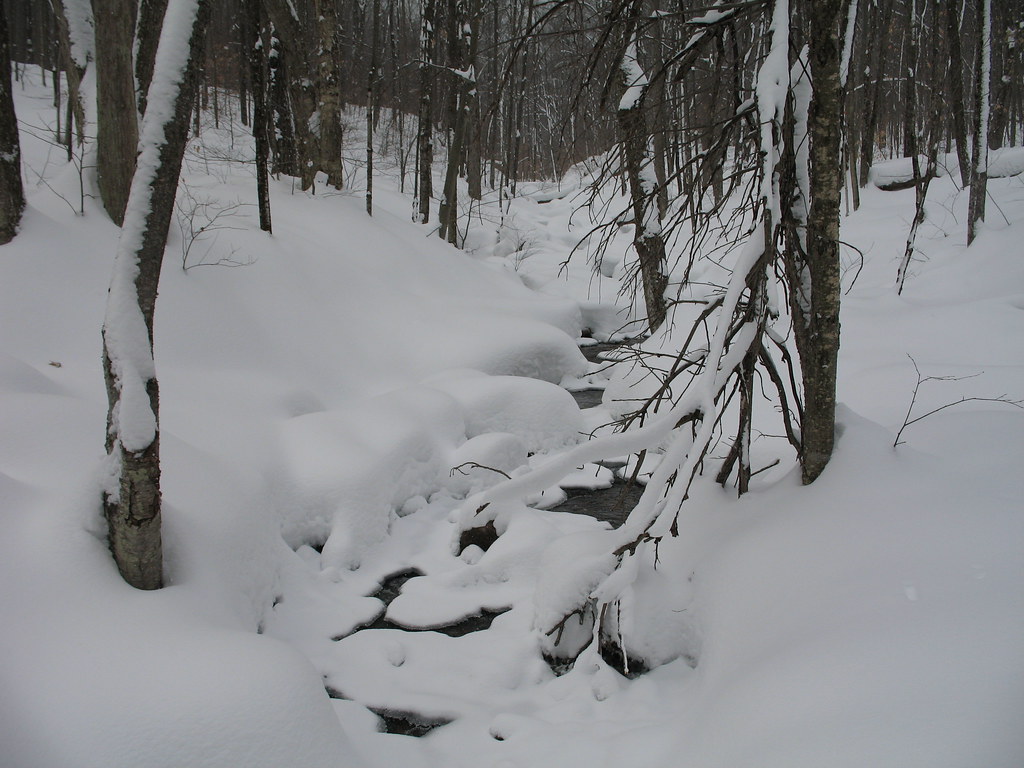 Creek under snow
