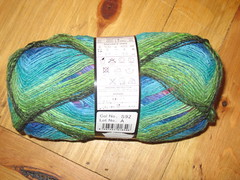 Noro Sock Yarn 6