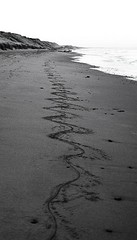 Lines in the Sand by dommmm