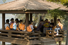 Children playing on an field trip