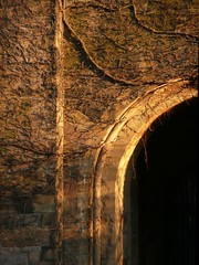 Ivy Church Doorway