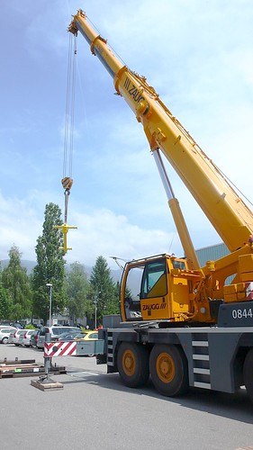 Arrival of the Crane