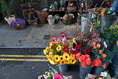 Borough Market Flowers
