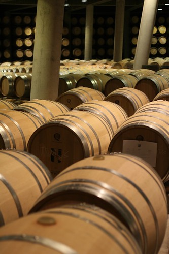 Vina Real: Rioja, Spain