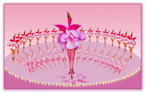 ballet in pink by fred the man