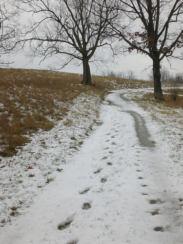  snowy trail