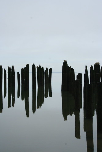 reflected pilings