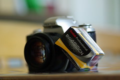 モノクロ2本目 / Kodak BW400CN
