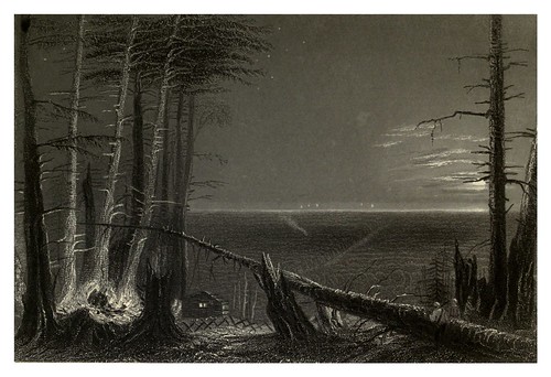 009-Bosque en el lago Ontario 1840