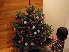 hinata with a christmas tree