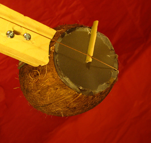 coconut banjo