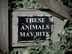 These Animals May Bite