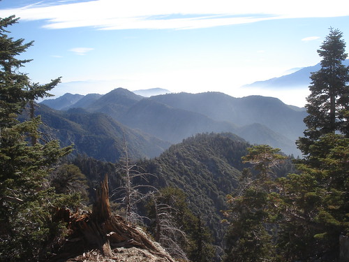 Views East from Little San Gorgonio