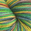 Spring Rainbow BFL Yarn - 5.5 oz *Discount*