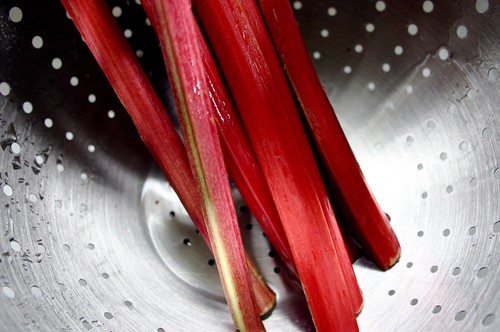 Metallic red rhubarb