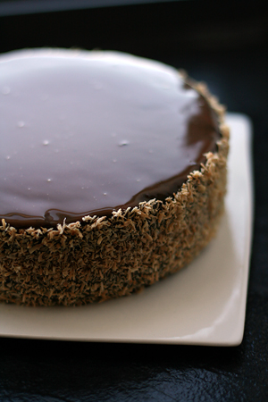 Chocolate Coconut Caramel Cake