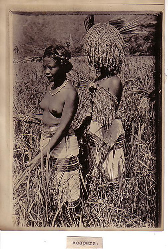  Igorot girls in a farm - Philippines 1911 indigenous Philippine Buhay Pinoy Noon old pictures photograph black and white Philippines  Filipino Pilipino  people photos life Philippinen  tribe   