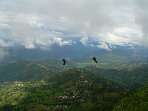 Aguilas en el Valle de Kathmandu
