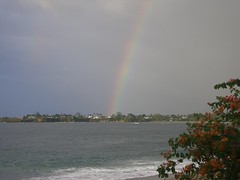 Turtle Beach Rainbow